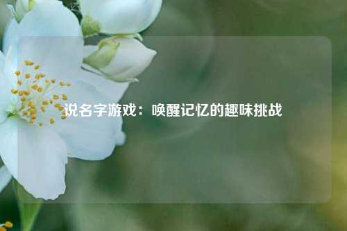 说名字游戏：唤醒记忆的趣味挑战