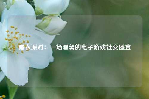 睡衣派对:一场温馨的电子游戏社交盛宴